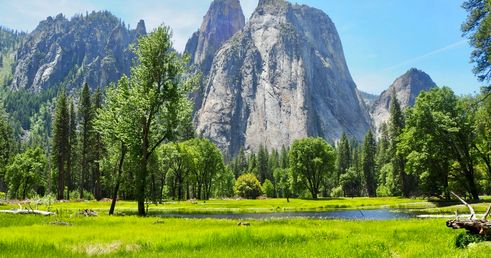 Cathedral Rocks Yosemite Valley